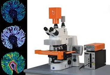 Citometría de Tejidos